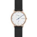SKAGEN HORLOGE SKW6390