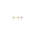 Blush gouden oorsteker zirk 7212YZI