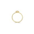 Gouden ring met parelmoer en pure kwarts mt 56 1239YMQ/56