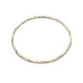 Titanium collier bicolor geel verguld 08076-02
