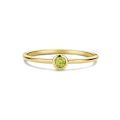 Gouden ring peridoot aug mt54 SWBR01AUG-Y