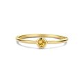 Gouden ring citrien nov mt56 SWBR01NOV-Y