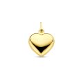 Gouden hanger hart 13x12.5mm 4005728