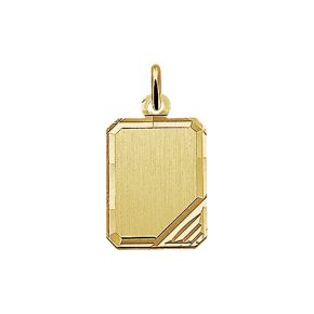 Gouden hanger plaatje 14x18 mat 4006034