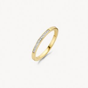 Gouden ring 0.06crt mt54 1630BDI/54