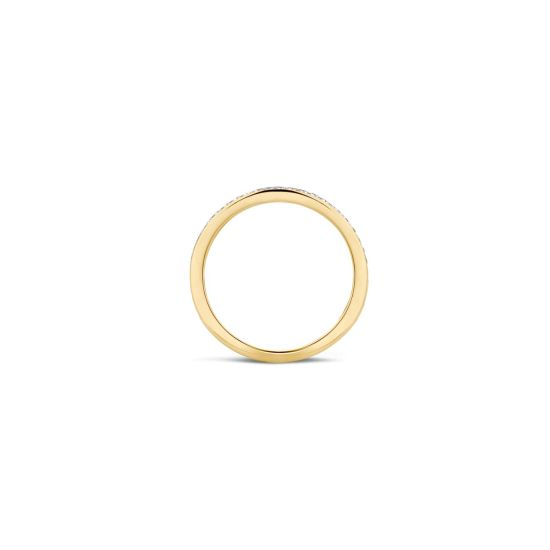 Gouden ring zirkonia mt 54 1119BZI/54 