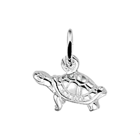 Zilveren hanger schildpad 1003898