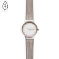 SKAGEN HORLOGE DAMES SKW2699