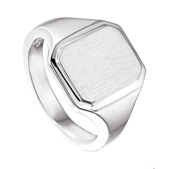 Zilveren zegelring mt19.5 1014482