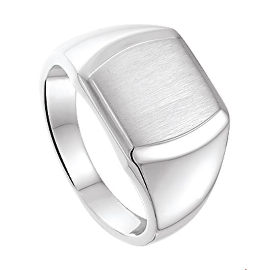 Zilveren zegelring mat/glans mt19.5 1014648