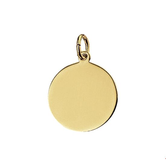 Gouden hanger plaatje glad 16mm 4007714