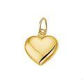 Gouden hanger hart 8.5mm 4005724