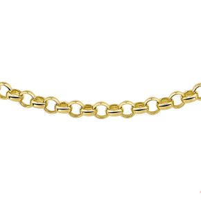 Goud/zilver collier jasseron 45cm