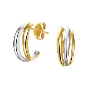 Gouden oorstekers bicolor 4207858