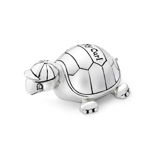 Tanden- en Haarlokdoosje 6058261 | Schildpad Verzilverd