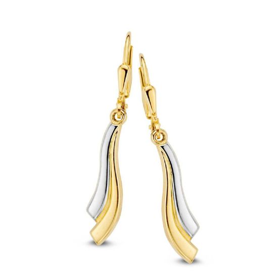 Gouden oorhangers bicolor OB405564