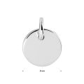 Zilveren hanger rond plaatje 1330153
