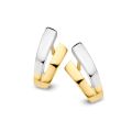 Gouden oorstekers bicolor OF406255