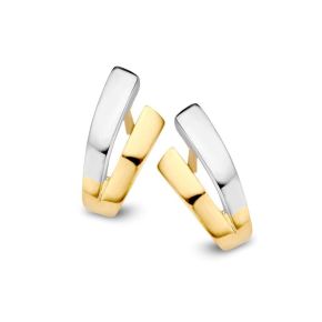 Gouden oorstekers bicolor OF406255