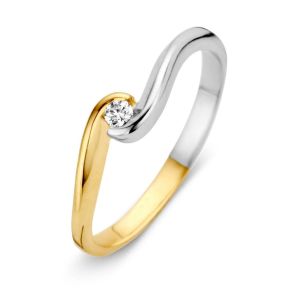 Gouden ring bicolor zirk mt56 RH426584