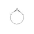 Witgouden ring 0.06crt mt 54 1621WDI/54