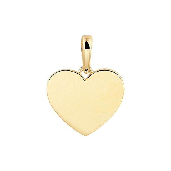 Gouden hanger plaatje hart 10mm 4022979