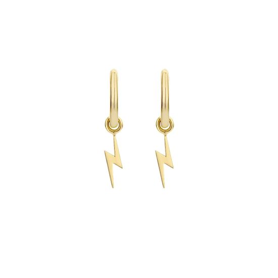 Blush gouden oorbelbedels 9060YGO