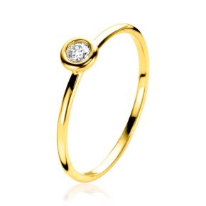 Gouden ring zirk mt 52 ZGR371-52