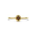 Gouden ring bruin cats eye mt 52 1225YCB/52