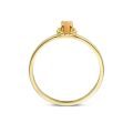 Gouden ring cats eye mt 52 1225YCO/52