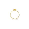 Gouden ring met parelmoer en citrien mt 54  1239YMC/54