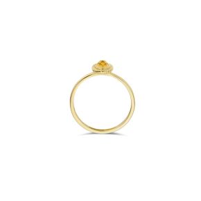 Gouden ring met parelmoer en citrien mt 54 1239YMC/54