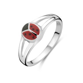 Ring lieveheersbeestje