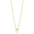Zinzi collier verguld ZIC2523G