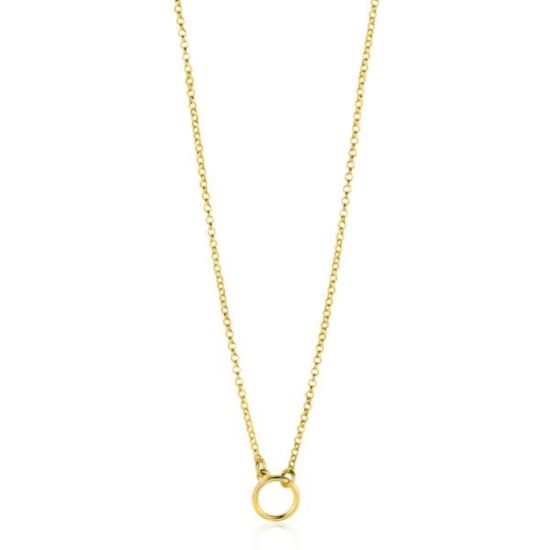 Zinzi collier verguld ZIC2523G
